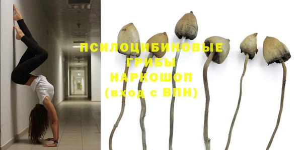 соль ск Сатка