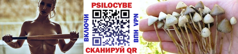 Галлюциногенные грибы GOLDEN TEACHER  где найти наркотики  Выборг 